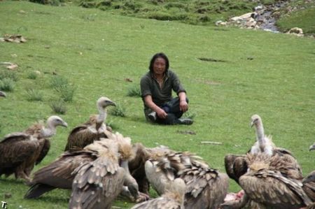 Ritual jenasah yang amat sangat mengerikan !! ( 18 tahun keatas ) Joejet_com_000559-24_tibetan-funeral_mini